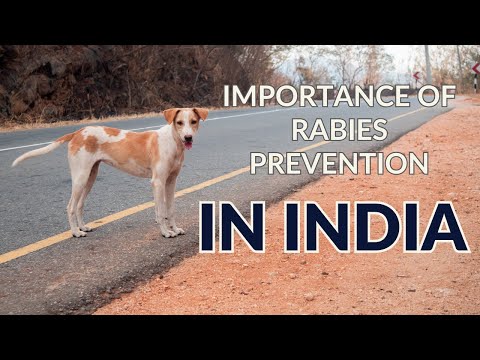 Rabies Vaccination Drive 2023