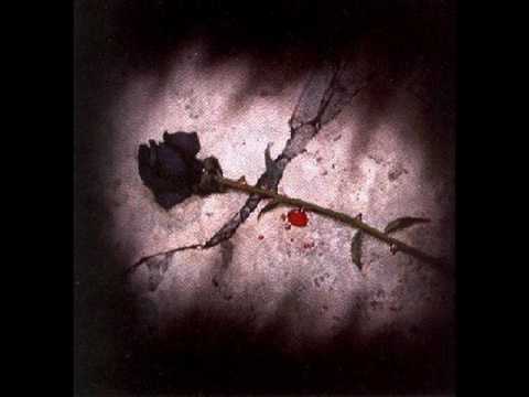 Desterrados - Los MC's Tambien lloran