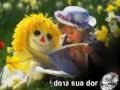 The Miracle Of Love (tradução)PT 