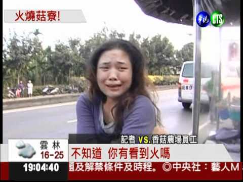 香菇農場燒光光 員工驚逃嚇哭