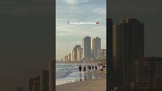 Most Gorgeous Beach in Vietnam🇻🇳 Peaceful & Golden Evening #vietnam #shorts #beach #sunset #peace