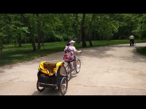 download lagu mp3 mp4 Dogwood Canyon Wedding Pictures, download lagu Dogwood Canyon Wedding Pictures gratis, unduh video klip Dogwood Canyon Wedding Pictures