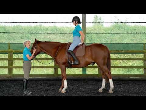 Positioning Your Seatbones