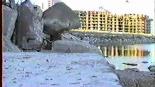 Snakefinger - The Spot