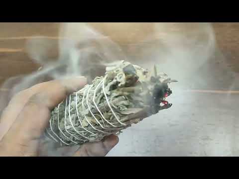 White Sage Smudge Leaves Bundle video