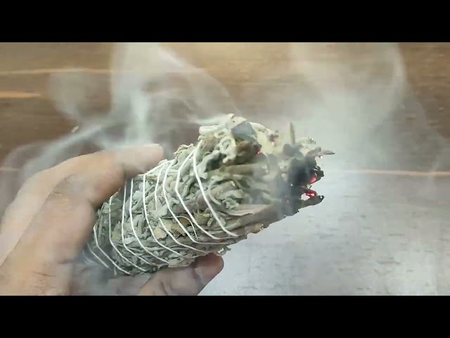White Sage Smudge Leaves Bundle Set of 2 video