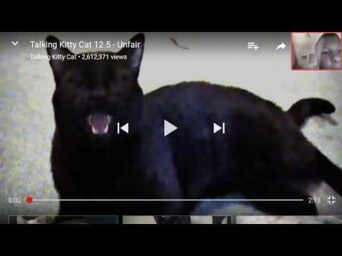 Talking kitty cat 12.5 unfair