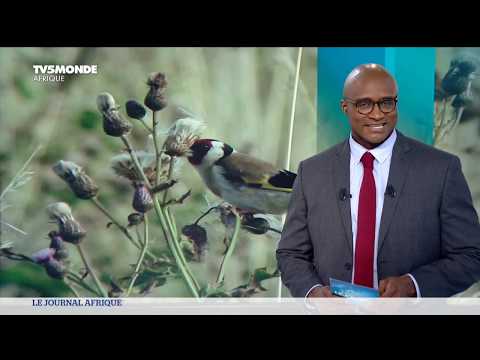 Le Journal Afrique du dimanche 08 mars 2020 sur TV5MONDE