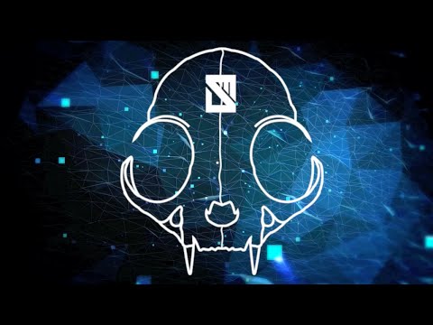 In Spite of Madness - Predisposed (Official Lyric Video)