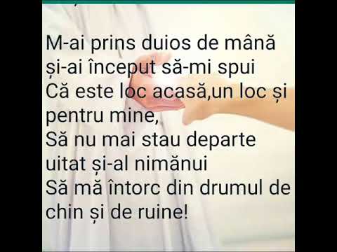 EMIL RARINCA - UN BIET PRIBEAG (nou 2022 Oastea Domnului)