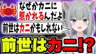 前世はカニだったかもしれないと発言するほどカニが好きななちょ【なちょ猫切り抜き/Zodiacats/Nachoneko】