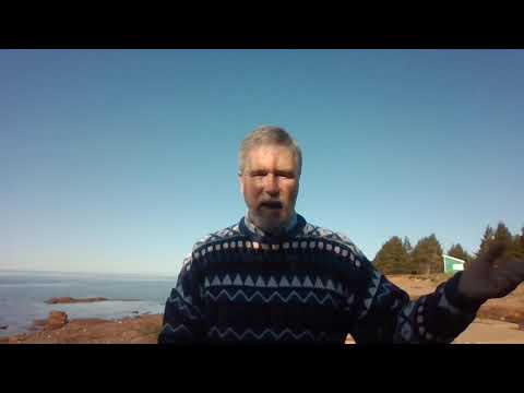 David, Amnon, Tamar & Absolom     2 Samuel 13