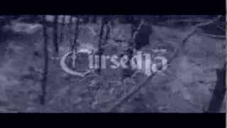 Cursed 13 - Seductress (From the Triumf Album)