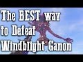 The BEST way to defeat Windblight Ganon - Vah Medoh