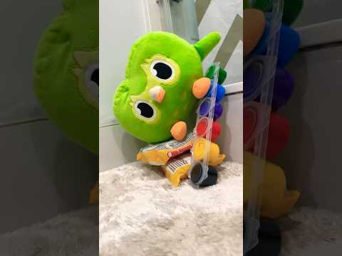 Duo Owl IRL Funny Chaos Moments That Feel Impossible 😂