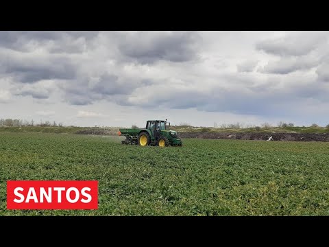 DRUGA PRIHRANA ULJANE REPICE