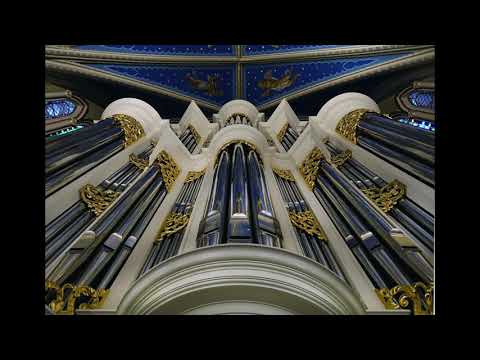 Anthoni van Noordt: Psalm 24 - Nathan Laube live at Fritts organ Notre Dame