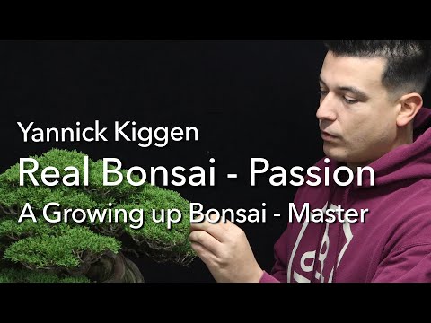 Growing up Bonsai - Master Yannick Kiggen tells about his life with bonsai