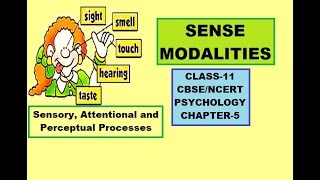 CLASS-11, PSYCHOLOGY, CHAPTER-5, SENSE MODALITIES. #cbse #ncert #class11 #psychology #msw