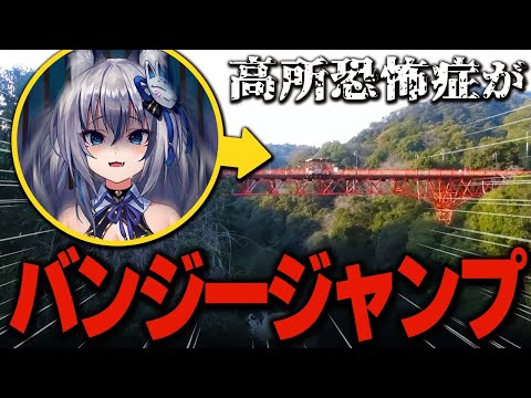 䶫۹궲ݾɤϤƥХ󥸡Ǥߤ