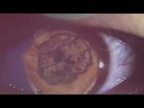 Majahkil - Mark of the Marty 152bpm