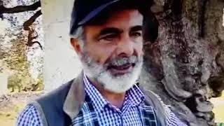 Emergenza xylella" Intevista Corrado a Masseria Brancati"