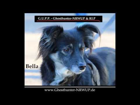 Die Geisterjäger - Bella's Erlebnisse - Ghosthunter-NRWUP & RLP