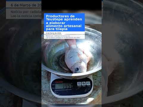 Productores de Teustepe aprenden a elaborar alimento artesanal para tilapia