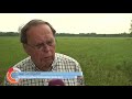 Zeven nieuwe mestfabrieken en nog komt Gelderland om in de mest