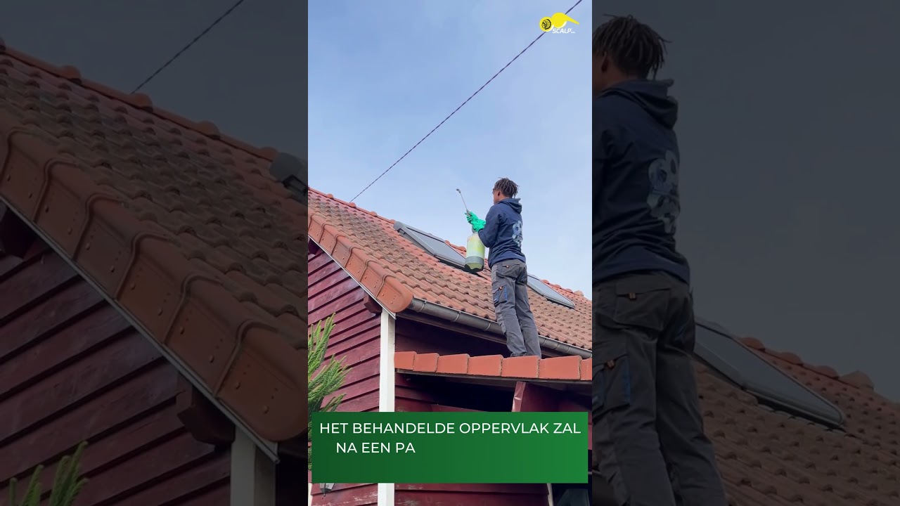 Hoe uw dak reinigen met SCALP ANTI-M, een professioneel anti-mos product ?