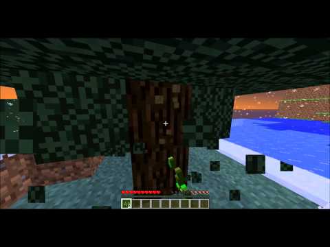 Minecraft survival with Phantom