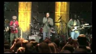 Ziggy Marley | Into the Groove | Love is My Religion LIVE