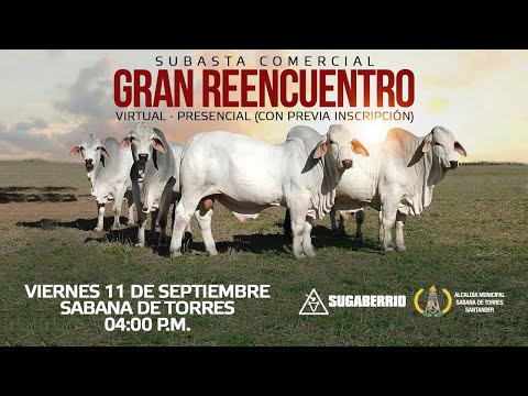miért van a lányoknak merevedése erekció az