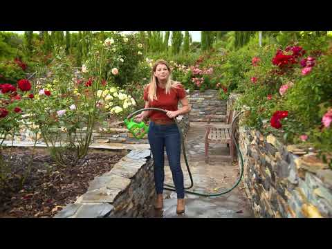 The Garden Gurus - Growing Roses