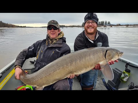 I caught the BIGGEST fish of my LIFE! And FORGOT my NET!!