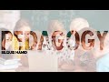 Pedagogical là gì