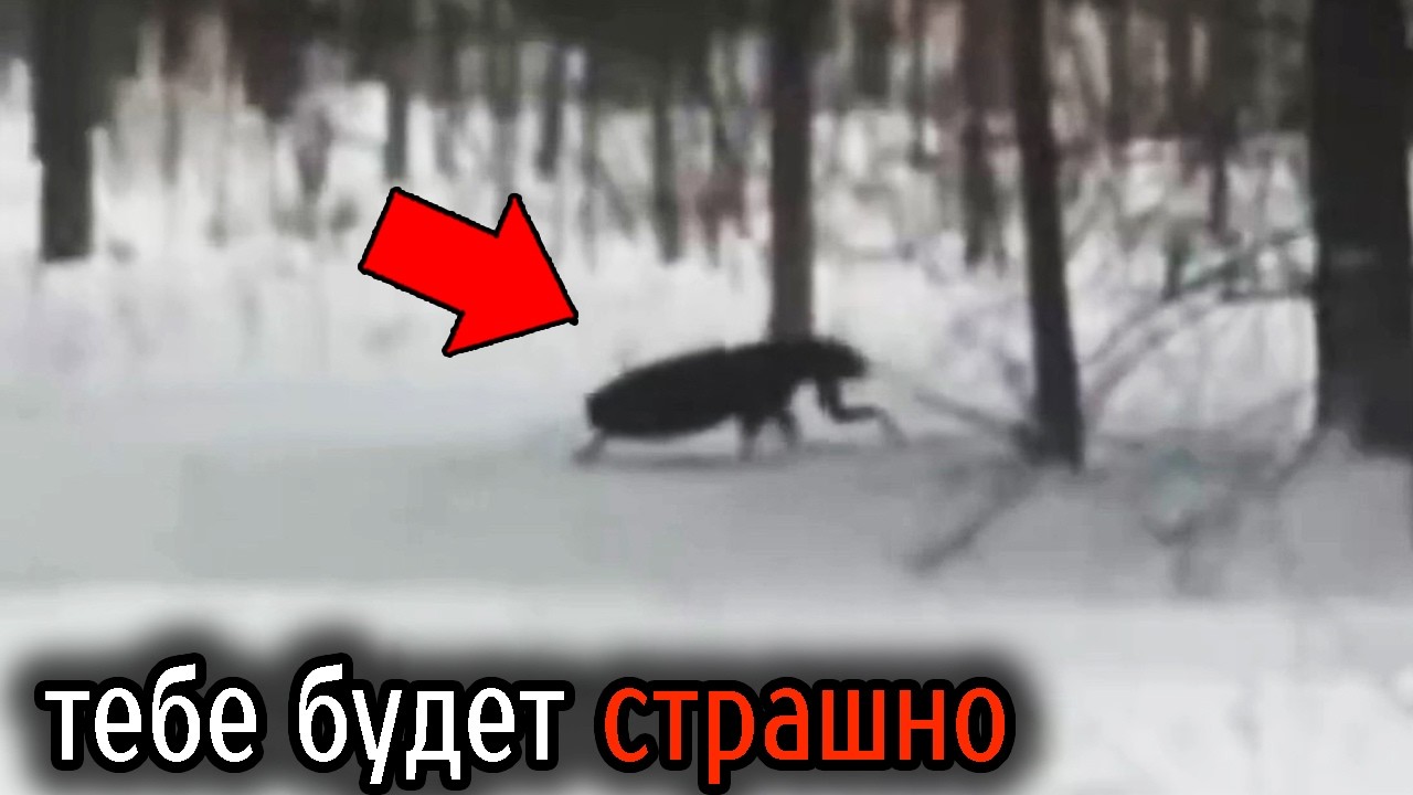 Самые Ужасные Видео со Всего Мира #112