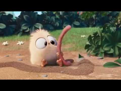 El pollo y el gusano