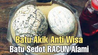 Download lagu Batu Akik Anti Wisa||Batu Sedot Racun mp3 Download lagu Batu Akik Anti Wisa||Batu Sedot Racun mp3