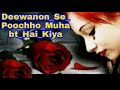 Deewanon Se Poochho Muhabt Ha Kya Sed Love Hard Dholki Dj Remix By Dj Guddu Raj Matlupur DjGud
