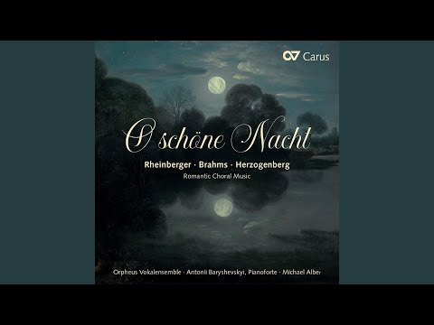 Herzogenberg: 4 Notturnos, Op. 22: III. Intermezzo