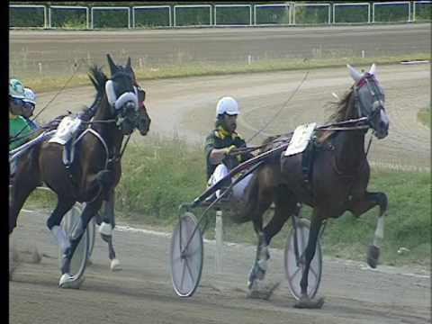 Trotto 28/05/2017 - 3ª corsa