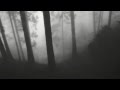 Wampyric Bloodlust - Enveloping Mist