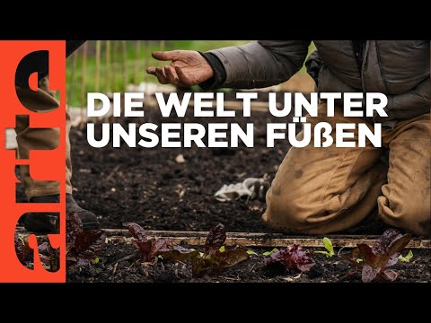 Video Thumbnail: Kosmos Boden - Das unbekannte Land | Doku HD | ARTE