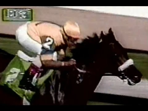 VERSET'S JET - 24 DE ENERO DE 1994