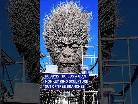 Hobbyist builds a giant Monkey King sculpture out of tree branches