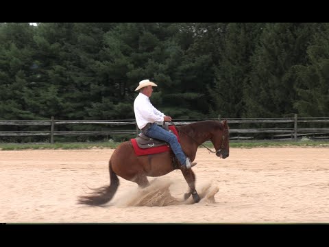Three Ways to Teach Your Horse to Stop - Episode 21 (Herm Gailey)
