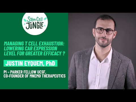 Managing T cell exhaustion: Lowering CAR expression level for greater efficacy ?