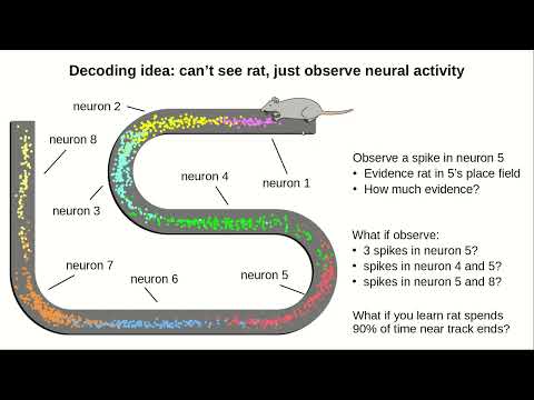 Neural Encoding And Decoding
