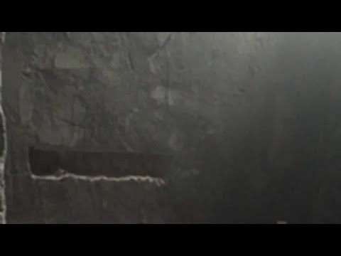 papa Junior  at work